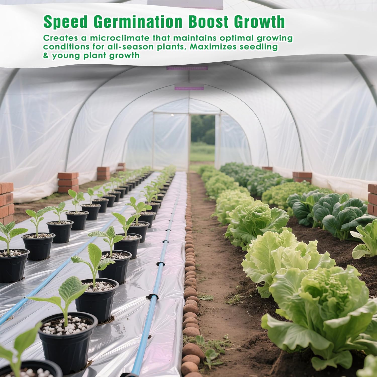 10 FT x 50 FT Plant Covers for Frost  Sun Protection, Thick 1.2 oz/yd² Frost Cloths Blankets to Extreme Low -4 °F Temperatures, Reusable Floating Row Covers for Outdoor Garden Vegetables Seedlings