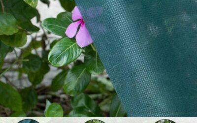 33FT x 10FT Plant Cover Review