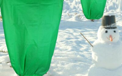 4 Pack Plant Covers Review