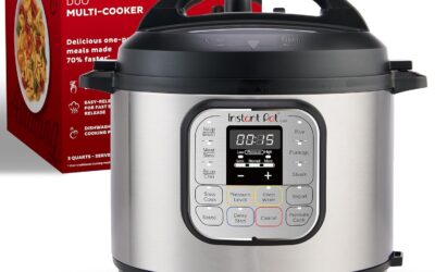 Mini Electric Pressure Cooker Review