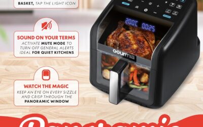 Gourmia Air Fryer 7 QT Review