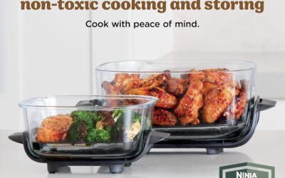 Ninja Crispi Air Fryer Review