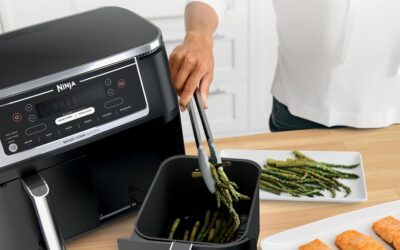 Ninja Foodi Air Fryer w/ Smart Cook Thermometer | 6-in-1 Air Fry, Roast, Bake, Dehydrate & More | DualZone™ Match Cook & Smart Finish, 2 Independent Baskets | XL 10 Qt, Stainless Steel | Black, DZ550