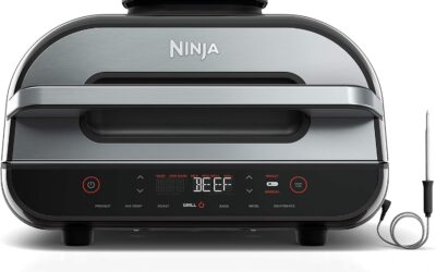 Ninja Indoor Grill and Air Fryer Review